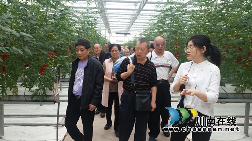 纳溪区老干部参观董永坝现代农业示范基地(图2)
