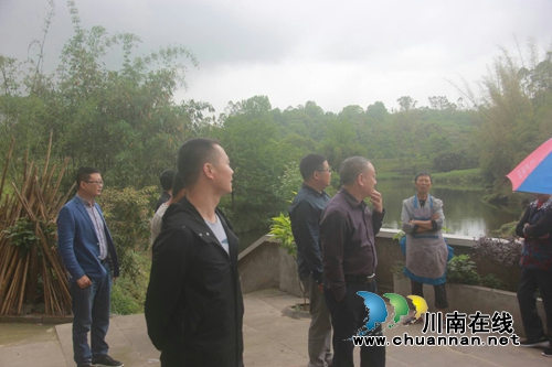 泸县政协副主席杜开卷到百和镇检查河长制工作(图1)