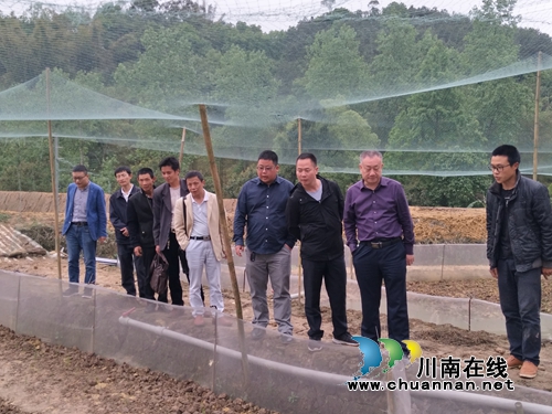 泸县政协副主席杜开卷到百和镇调研脱贫攻坚工作(图1)