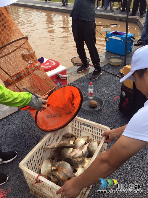 第三届江之阳蔬菜品赏会全国钓鱼邀请赛开赛(图9) 第三届江之阳蔬菜品赏会全国钓鱼邀请赛开赛(图9)