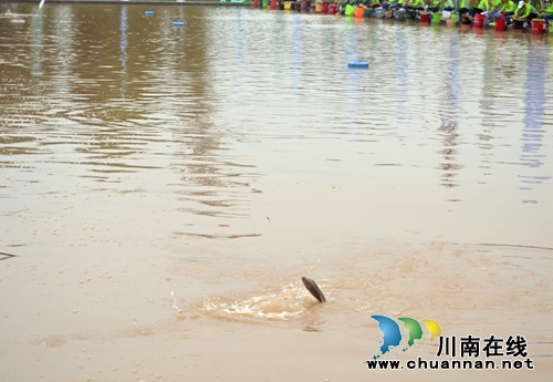 第三届江之阳蔬菜品赏会全国钓鱼邀请赛开赛(图6) 第三届江之阳蔬菜品赏会全国钓鱼邀请赛开赛(图6)