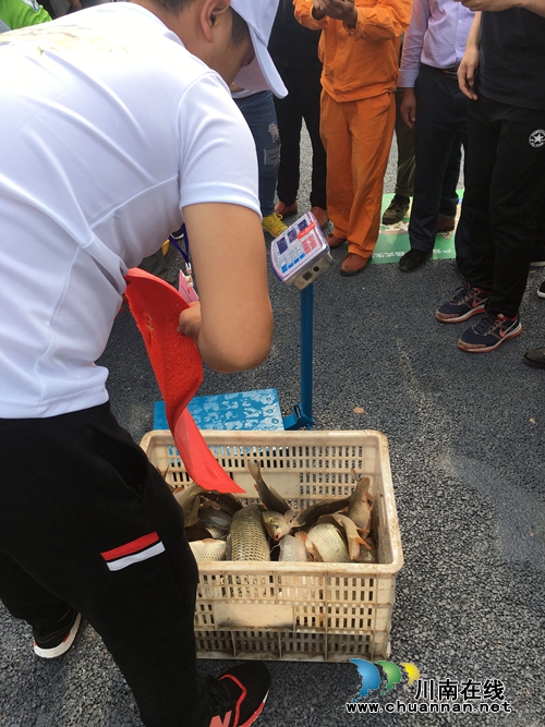 第三届江之阳蔬菜品赏会全国钓鱼邀请赛开赛(图8) 第三届江之阳蔬菜品赏会全国钓鱼邀请赛开赛(图8)