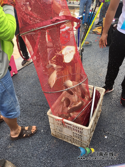 第三届江之阳蔬菜品赏会全国钓鱼邀请赛开赛(图10) 第三届江之阳蔬菜品赏会全国钓鱼邀请赛开赛(图10)