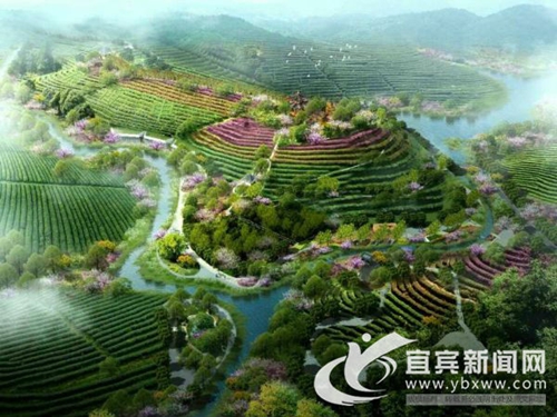 宜宾明威镇打造沉香特色小镇 带动百姓致富(图1) 宜宾明威镇打造沉香特色小镇 带动百姓致富(图1)