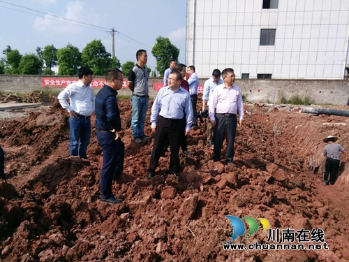 合江县委副书记、县长胥兴贵带队调研园区项目建设(图1)