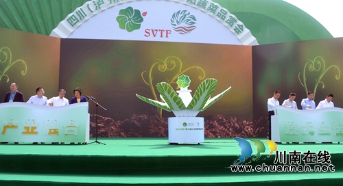 五一去哪？不去成都“锦里”去泸州“伞里”(图2)