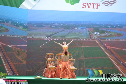 五一去哪？不去成都“锦里”去泸州“伞里”(图5)