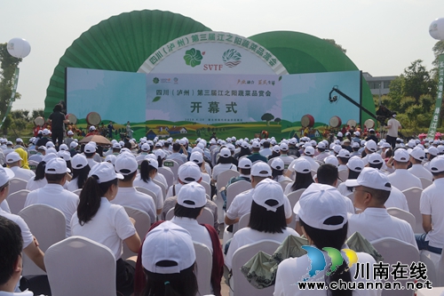 五一去哪？不去成都“锦里”去泸州“伞里”(图6)