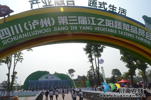 五一去哪？不去成都“锦里”去泸州“伞里”(图7)