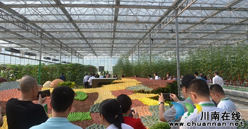 五一去哪？不去成都“锦里”去泸州“伞里”(图11)