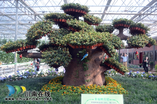 五一去哪？不去成都“锦里”去泸州“伞里”(图12)