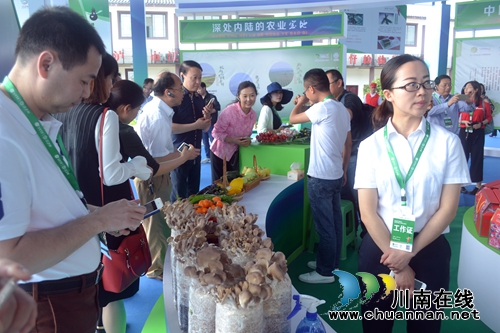 五一去哪？不去成都“锦里”去泸州“伞里”(图14)