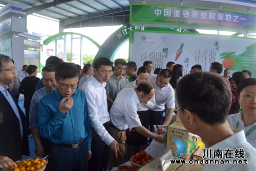 五一去哪？不去成都“锦里”去泸州“伞里”(图15)