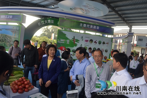 五一去哪？不去成都“锦里”去泸州“伞里”(图16)