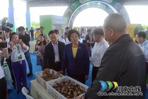 五一去哪？不去成都“锦里”去泸州“伞里”(图18)