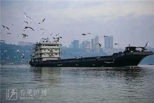 泸州露脸央视《新闻联播》&nbsp;事关长江经济带(图4)