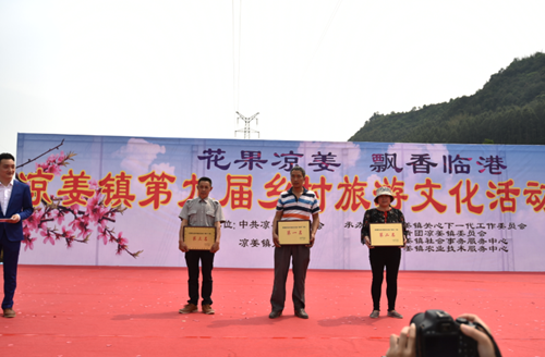 宜宾临港凉姜镇第九届乡村旅游文化活动开幕(图3)