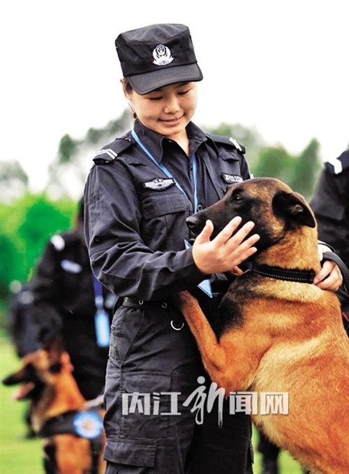 全省103只警犬同场竞技&nbsp;内江警犬勇夺好名次(图1)
