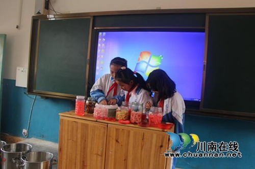 贵州盘州市双凤镇文笔小学科学实验课喜获小成果(图3) 贵州盘州市双凤镇文笔小学科学实验课喜获小成果(图3)