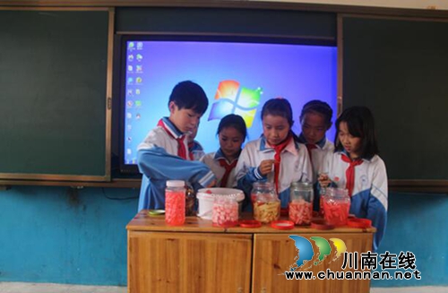 贵州盘州市双凤镇文笔小学科学实验课喜获小成果(图4) 贵州盘州市双凤镇文笔小学科学实验课喜获小成果(图4)