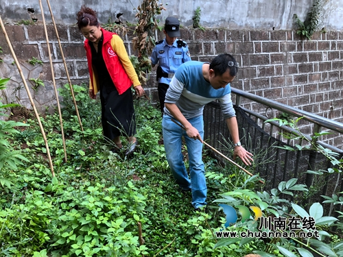 江阳区华阳街道:踏查全域覆盖 铲毒不留死角(图2) 江阳区华阳街道:踏查全域覆盖 铲毒不留死角(图2)