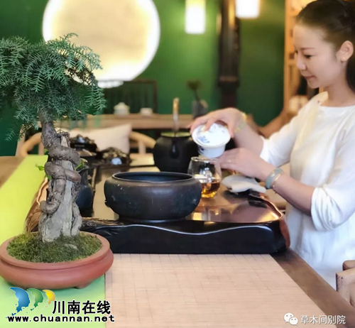 闹市中的草木间别院(茶语时光)(图5) 闹市中的草木间别院(茶语时光)(图5)