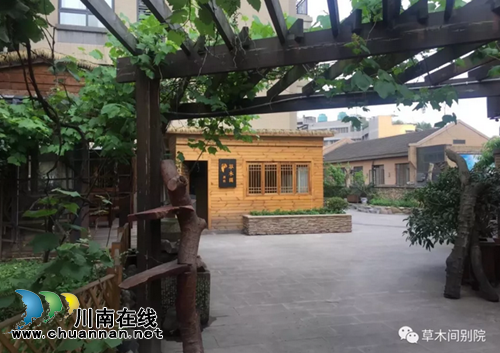 闹市中的草木间别院(茶语时光)(图9) 闹市中的草木间别院(茶语时光)(图9)