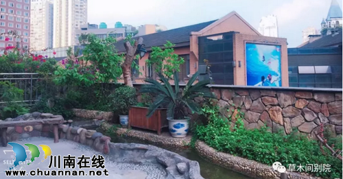 闹市中的草木间别院(茶语时光)(图11) 闹市中的草木间别院(茶语时光)(图11)