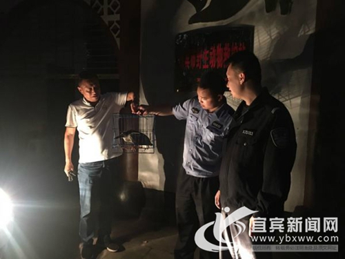 宜宾：垂钓发现受伤夜鹭&nbsp;警民联手及时救助(图2)