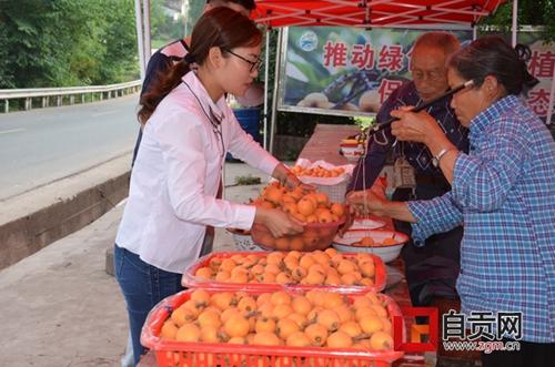 自贡荣县：微商铺起500万斤枇杷销售“高速”(图2)
