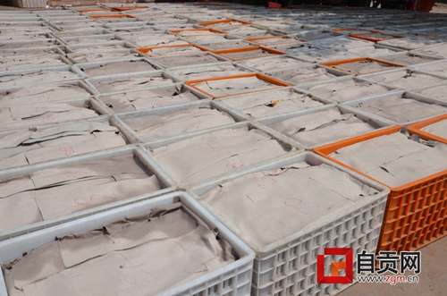 自贡荣县：微商铺起500万斤枇杷销售“高速”(图3)