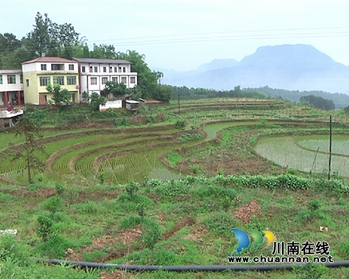 合江回洞桥村：斩穷根挪新屋&nbsp;打开致富兴村路(图7)