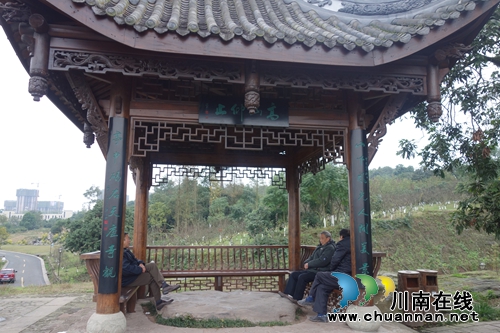 张坝桂圆林内藏玄机多&nbsp;“景行”“方圆”润育细无声(图1)