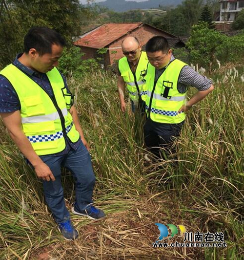 宜宾南溪区汪家镇大力发展林竹业助农增收(图1) 宜宾南溪区汪家镇大力发展林竹业助农增收(图1)