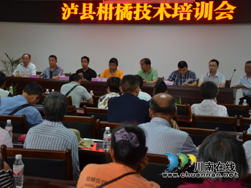 泸县柑橘技术培训现场会在太伏镇举行(图1)