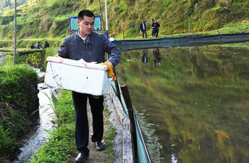 古蔺：小龙虾承载大梦想&nbsp;老总回乡当“虾农”(图2)