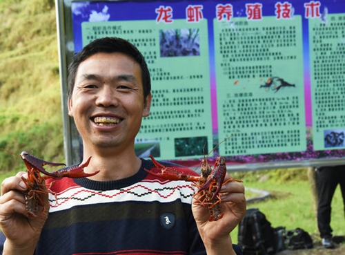 古蔺：小龙虾承载大梦想&nbsp;老总回乡当“虾农”(图4)