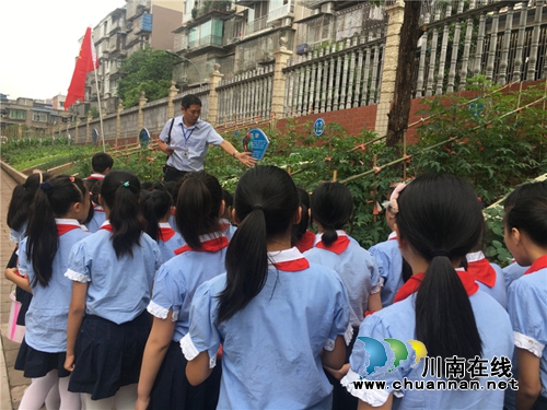 泸州十八中举行“绿色农耕 爱心义卖”校园农耕教育系列活动(图2) 泸州十八中举行“绿色农耕 爱心义卖”校园农耕教育系列活动(图2)