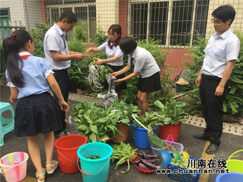 泸州十八中举行“绿色农耕 爱心义卖”校园农耕教育系列活动(图4) 泸州十八中举行“绿色农耕 爱心义卖”校园农耕教育系列活动(图4)