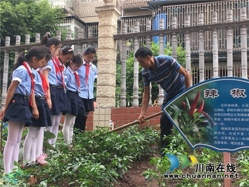 泸州十八中举行“绿色农耕 爱心义卖”校园农耕教育系列活动(图3) 泸州十八中举行“绿色农耕 爱心义卖”校园农耕教育系列活动(图3)