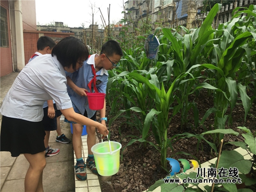 泸州十八中举行“绿色农耕 爱心义卖”校园农耕教育系列活动(图11) 泸州十八中举行“绿色农耕 爱心义卖”校园农耕教育系列活动(图11)