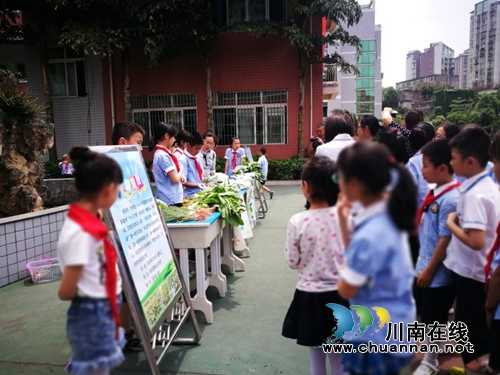 泸州十八中举行“绿色农耕 爱心义卖”校园农耕教育系列活动(图19) 泸州十八中举行“绿色农耕 爱心义卖”校园农耕教育系列活动(图19)