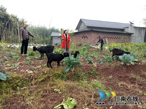 泸州市江阳区华阳街道开展精准扶贫回访工作(图1) 泸州市江阳区华阳街道开展精准扶贫回访工作(图1)