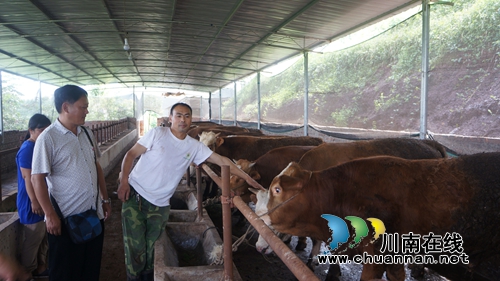 泸县立石镇：精准发力&nbsp;移民后扶项目扶持凸显成效(图3)