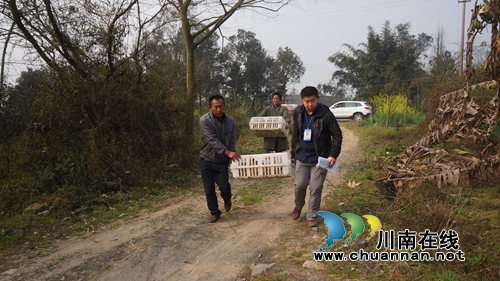 泸县立石镇：精准发力&nbsp;移民后扶项目扶持凸显成效(图4)