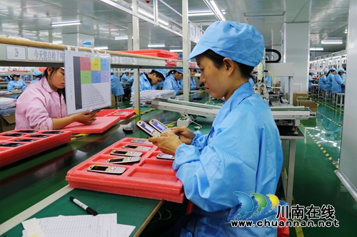 泸州龙马潭：民营企业成经济发展新引擎(图2)