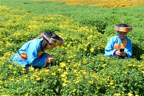 泸州古蔺：贫困户“住进”景区吃上旅游饭(图2)