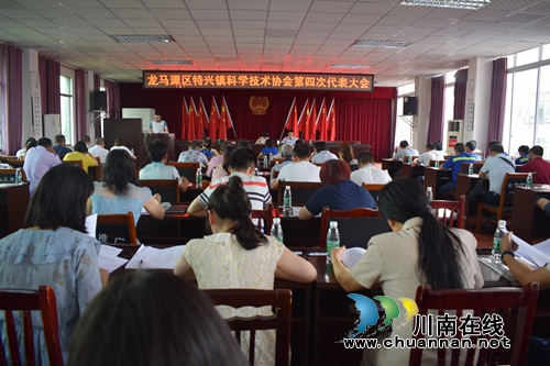 龙马潭区特兴镇科协换届工作圆满落幕(图3)