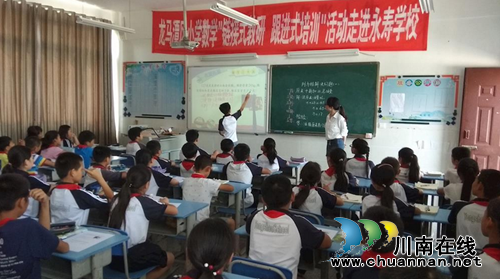 龙马潭区开展小学数学跟进式培训