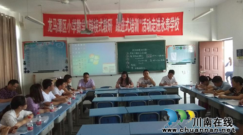 龙马潭区开展小学数学跟进式培训(图1)